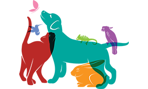 Petshop